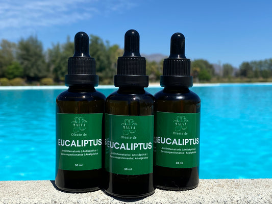 Oleato Corporal de Eucaliptus